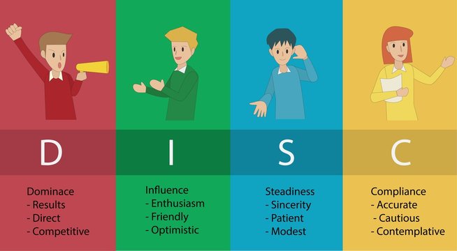 Disc profil til teamudvikling